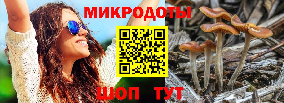 Псилоцибиновые грибы GOLDEN TEACHER Баксан
